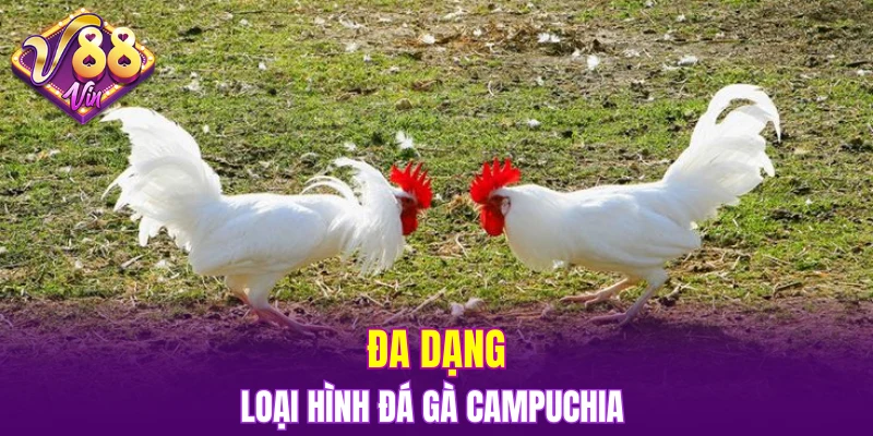 Trải Nghiệm Vòng Quay Hấp Dẫn Trong Nổ Hũ Đổi Thưởng 5 Đa dạng nhiều loại hình thức đá gà Campuchia
