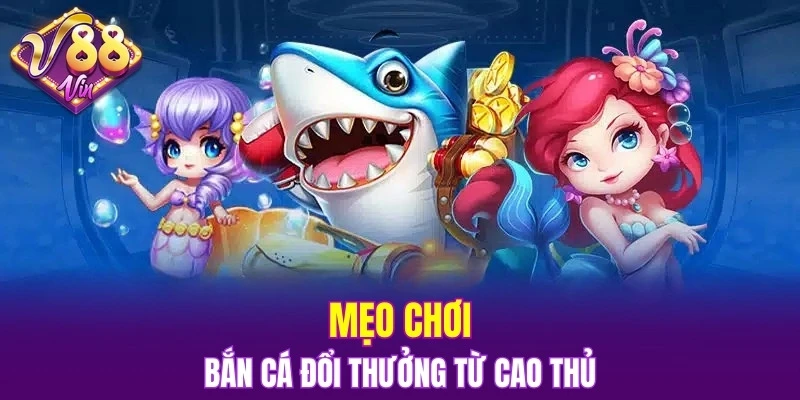 Trải Nghiệm Vòng Quay Hấp Dẫn Trong Nổ Hũ Đổi Thưởng 7 Mẹo chơi bắn cá đổi thưởng từ cao thủ