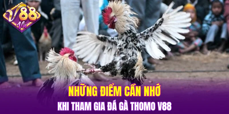 Trải Nghiệm Vòng Quay Hấp Dẫn Trong Nổ Hũ Đổi Thưởng 7 Những điểm cần nhớ khi tham gia đá gà Thomo V88